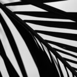 saint-atelier-CEq3z6do4cM-unsplash